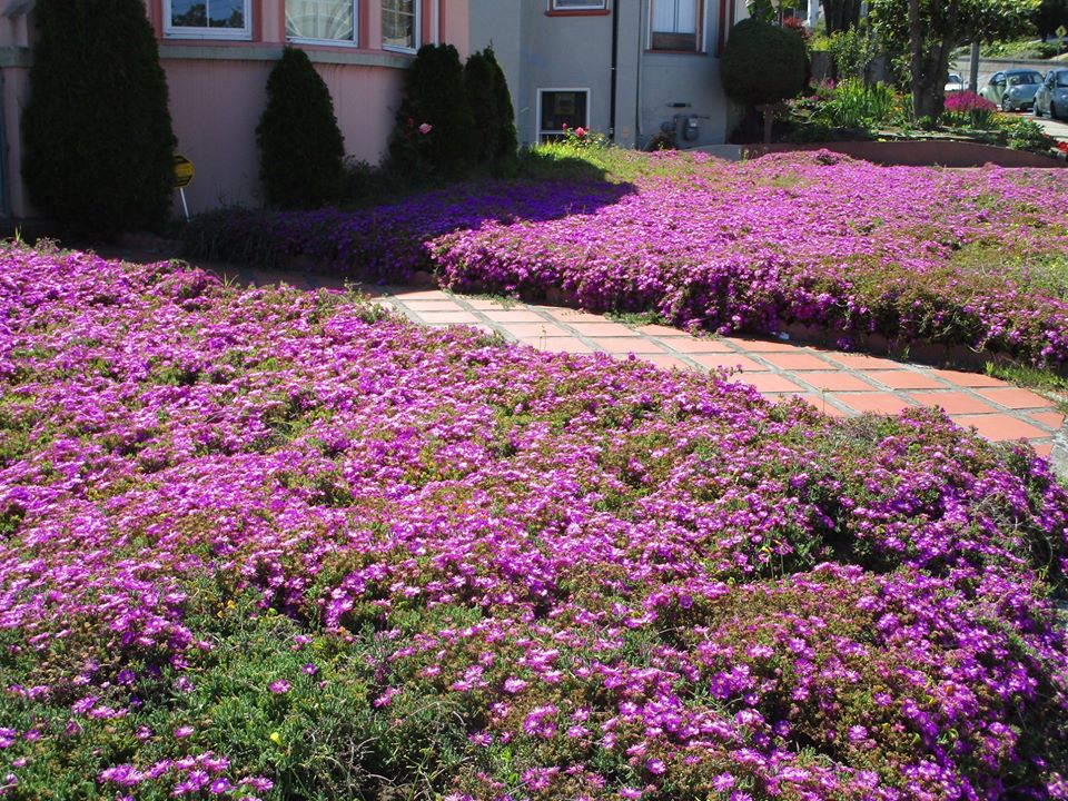 94575736_10222230628140948_1153734198318596096_o