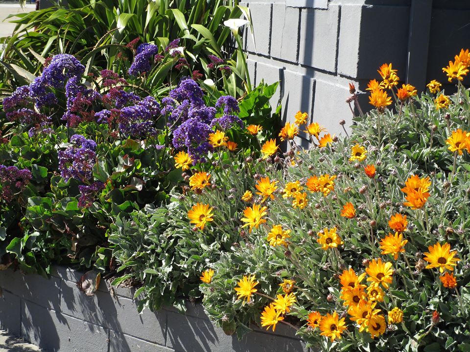 94674263_10222230660421755_4209364195449241600_o