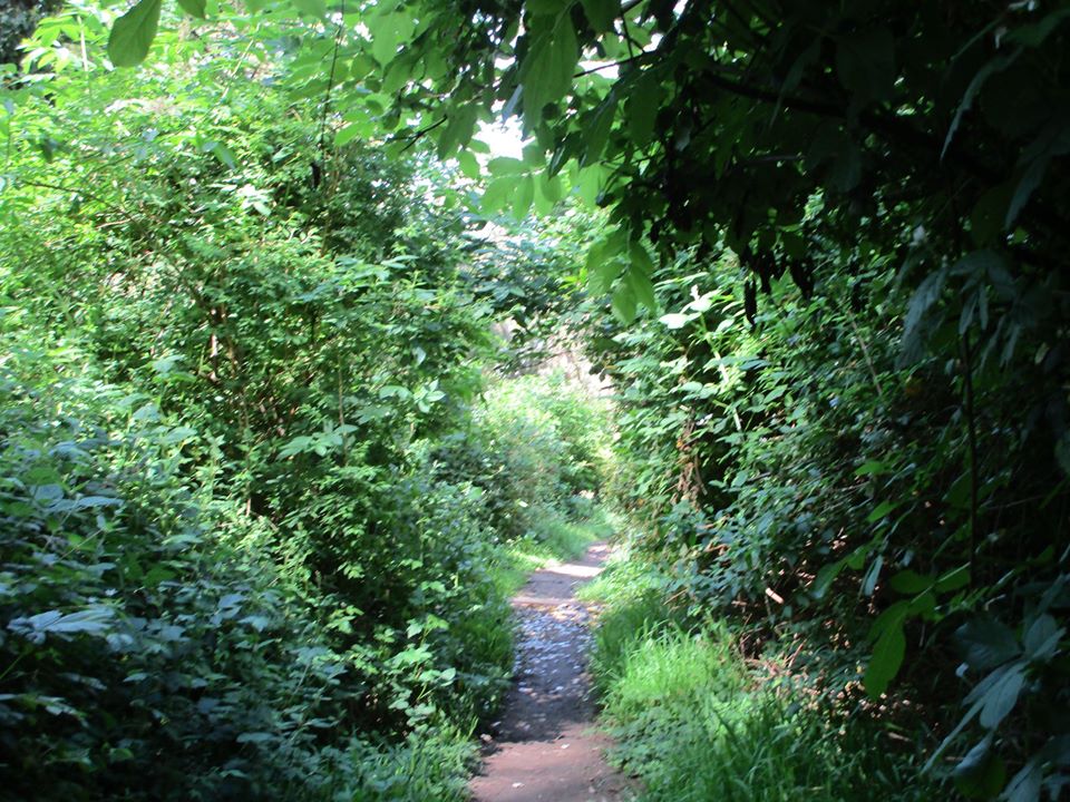 94702567_10222230660741763_8538687136713408512_o