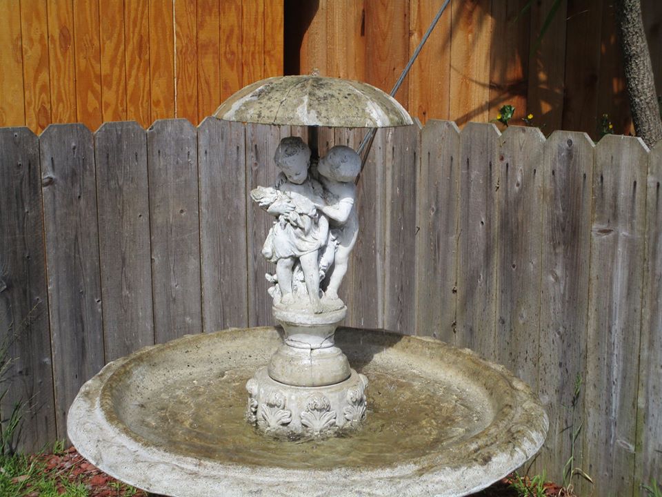 95364601_10222342951108952_3112656687396290560_o