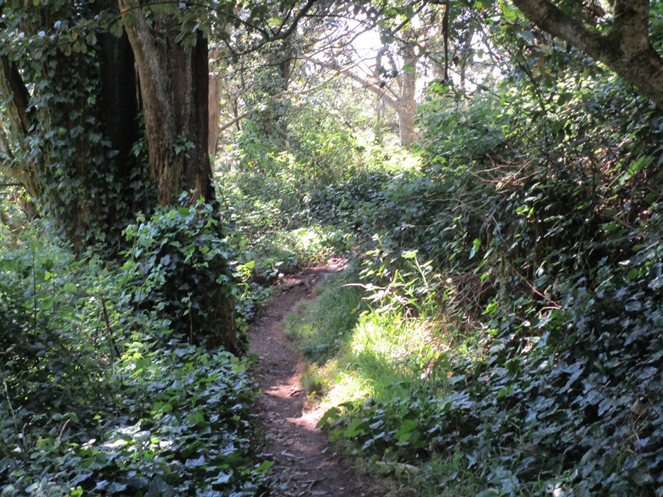 95387963_10222230658301702_4977825847198089216_o