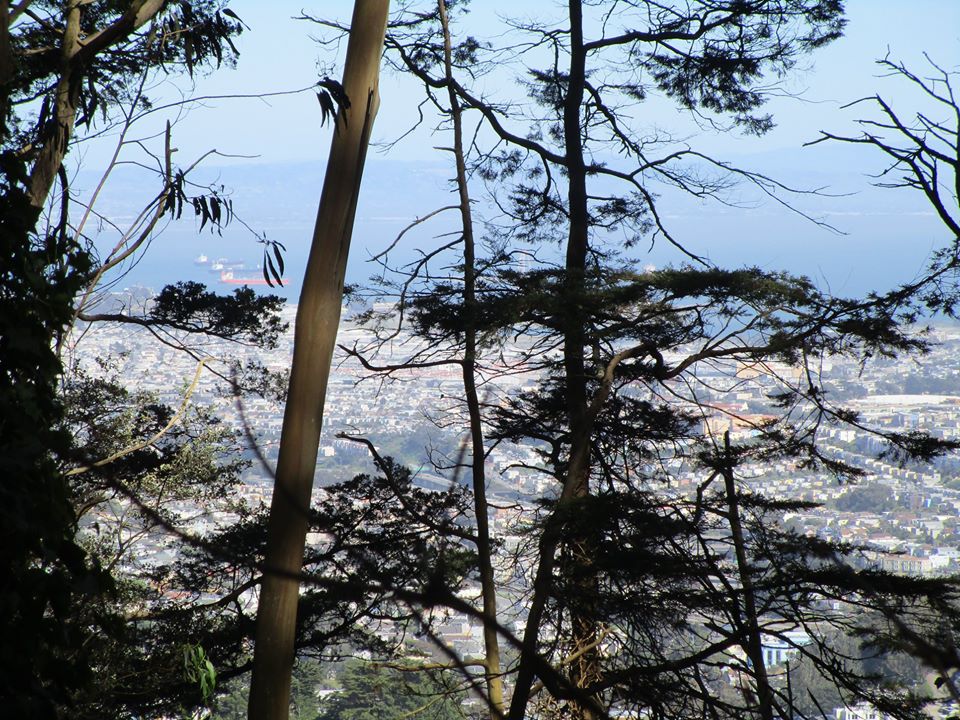 95389057_10222230630381004_3961997392282124288_o