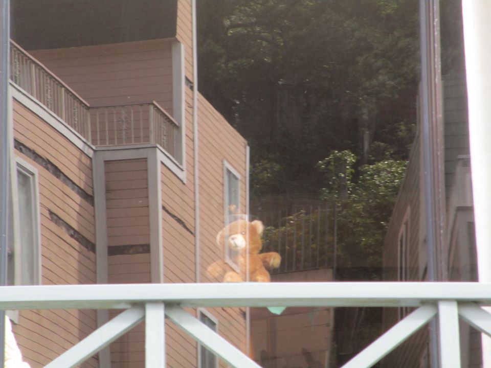 95615105_10222342951508962_6823237401524043776_o