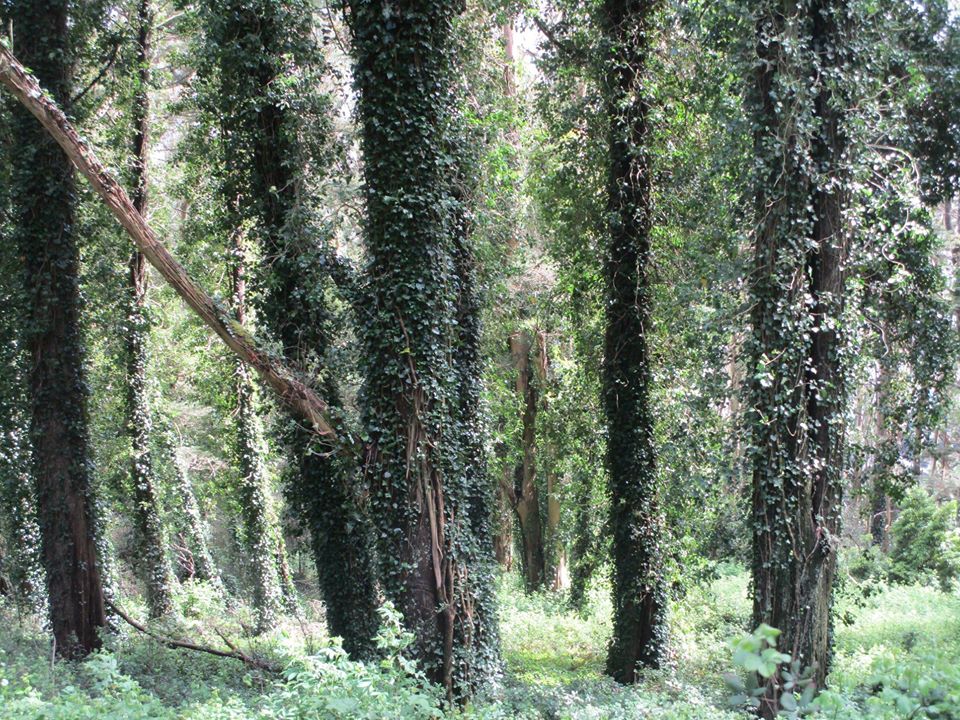 95632149_10222342964309282_7535048387394011136_o