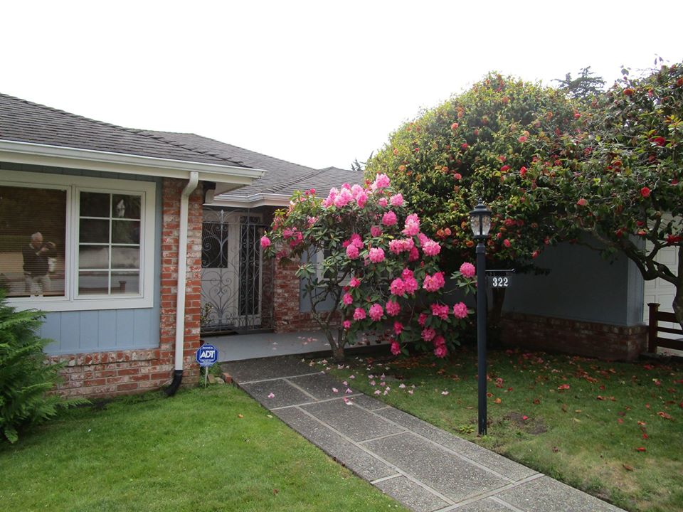 95708700_10222342991669966_1260686894103003136_o