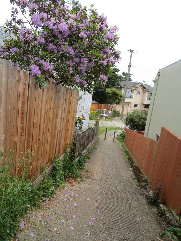 95821754_10222342973189504_6688430854982598656_o