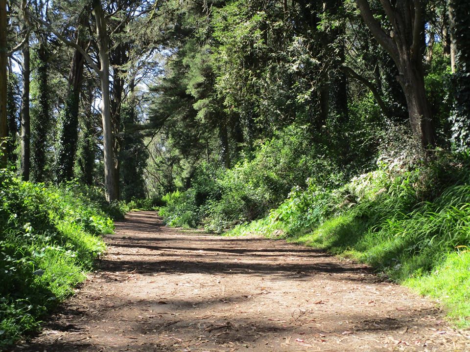 95916697_10222342969829420_4441905772237946880_o