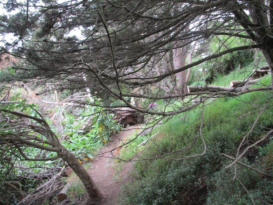 96095055_10222342957429110_8101939793648156672_o