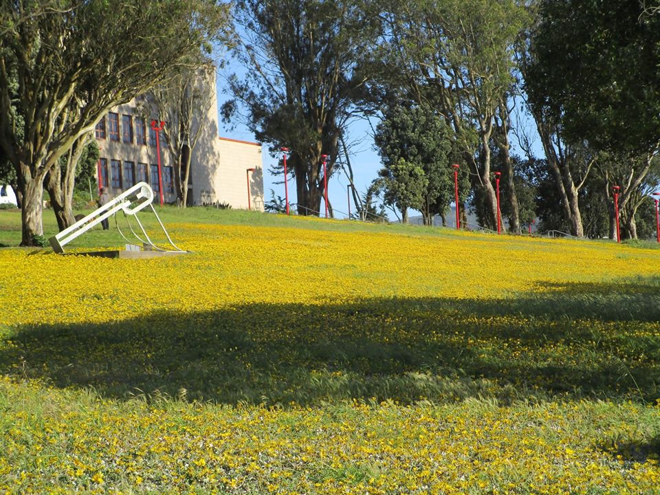 96139777_10222342975589564_4217548251336802304_o