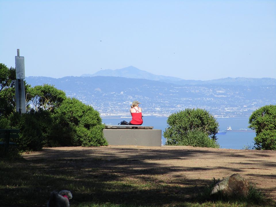 96232405_10222343002670241_318759738131087360_o