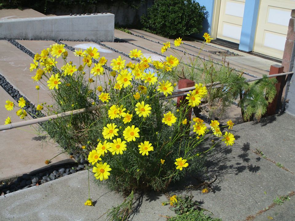 96234601_10222342965589314_2602764195854286848_o