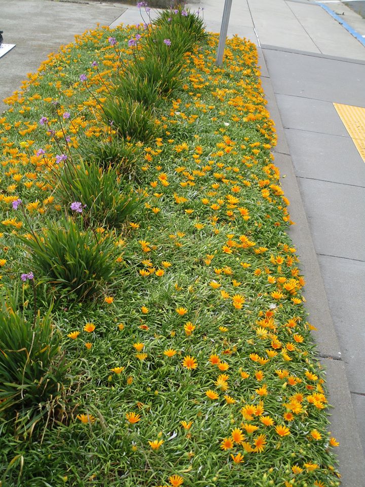 96259974_10222342986669841_6011065828949098496_o