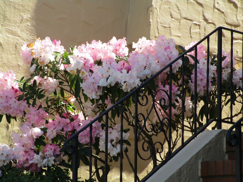 96288325_10222343012670491_4159475332807655424_o