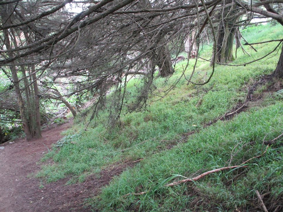 96293783_10222342981509712_1248108738779283456_o