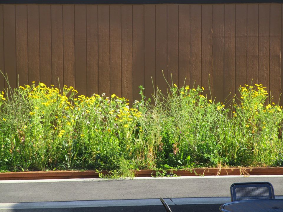 96423101_10222342968909397_2255062064684859392_o