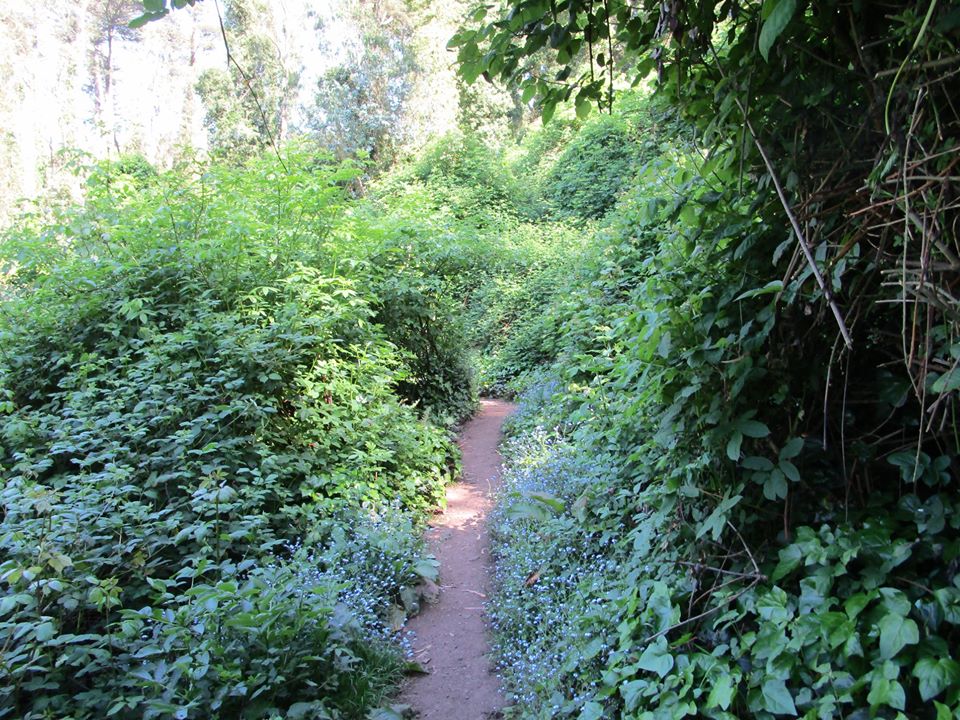 96519800_10222343010270431_4869980395216568320_o-2