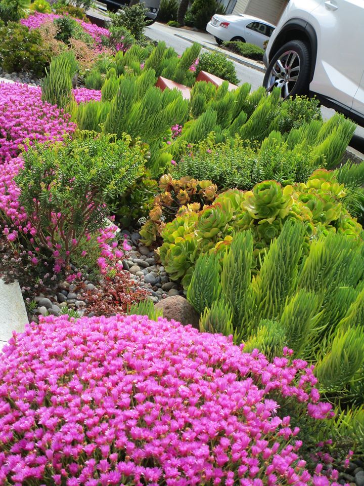 96584615_10222342957149103_7002469925839175680_o