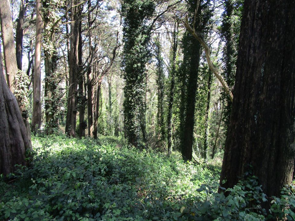 96703163_10222448322223164_6131036093866311680_o