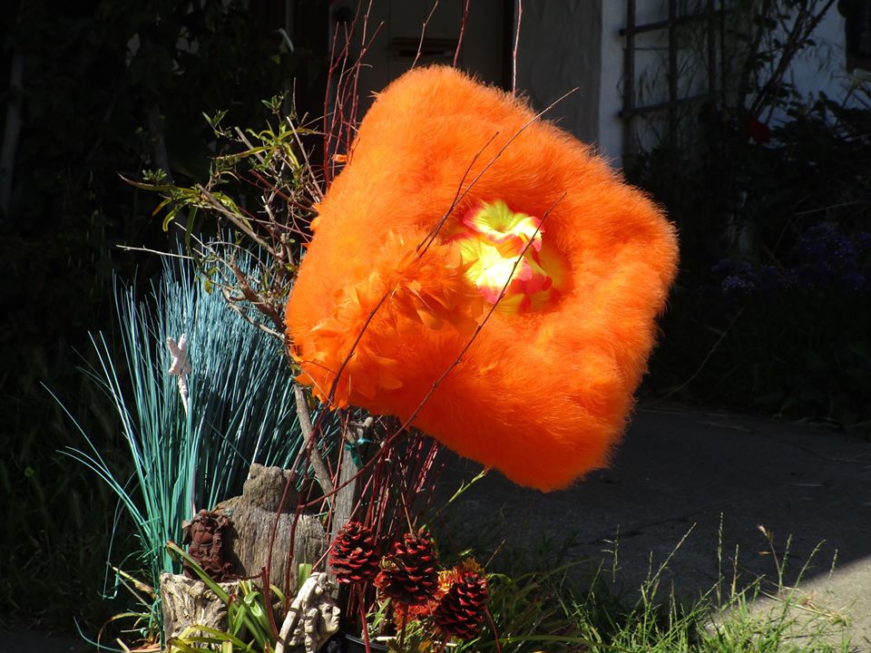 96796356_10222343003510262_2883816766826348544_o