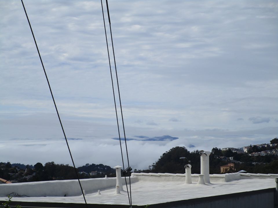 96920619_10222448323063185_2737723359763628032_o