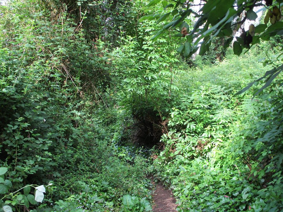 97060380_10222448294902481_2739586761389768704_o