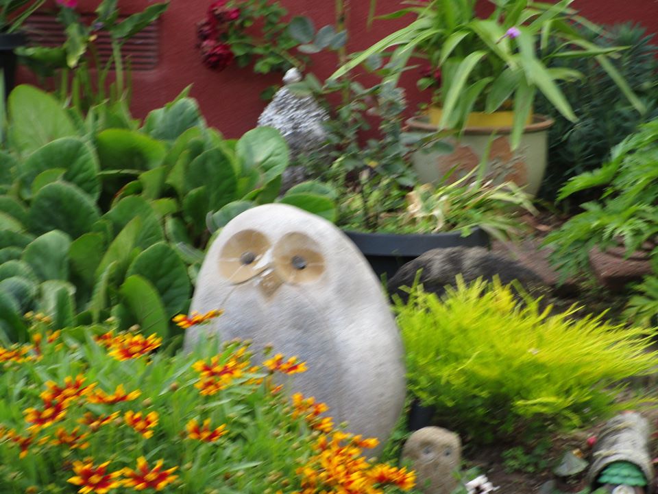 97148404_10222448296142512_2394602090388258816_o