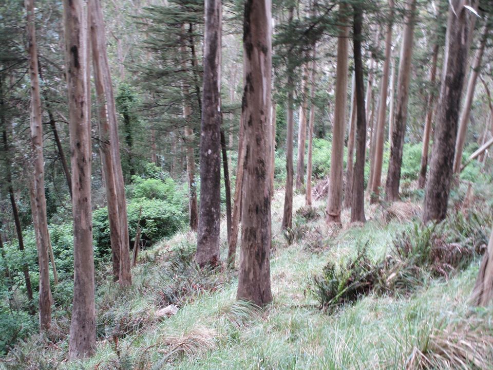 97284909_10222448286782278_5073412702307614720_o