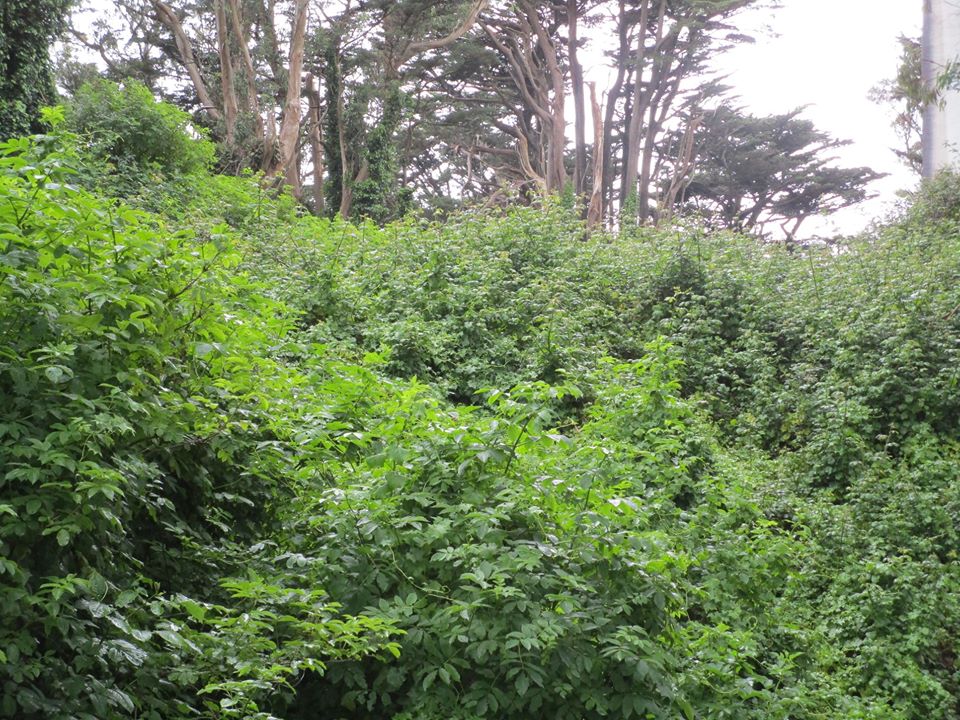 97422692_10222448284222214_5682226640092921856_o