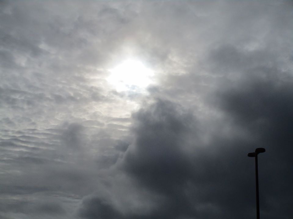 97994005_10222448298182563_8096989002025926656_o