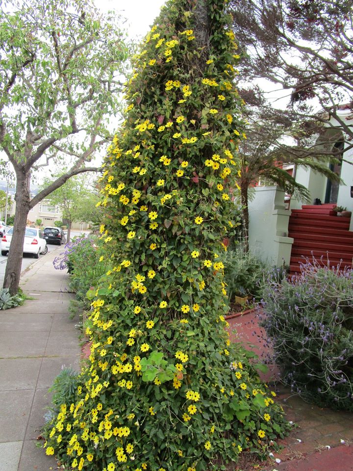 98071110_10222448297102536_9169572662324756480_o