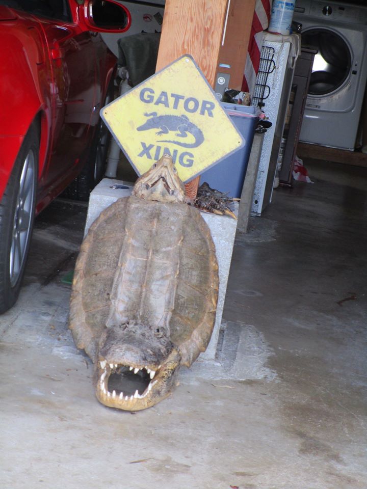 98203638_10222448290342367_1970948895722700800_o