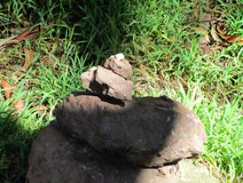 98310390_10222448322023159_5560907141264441344_o-1