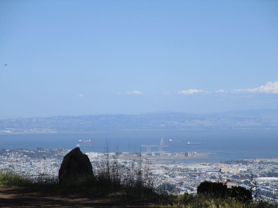 100052122_10222541492512363_5275181534205181952_o