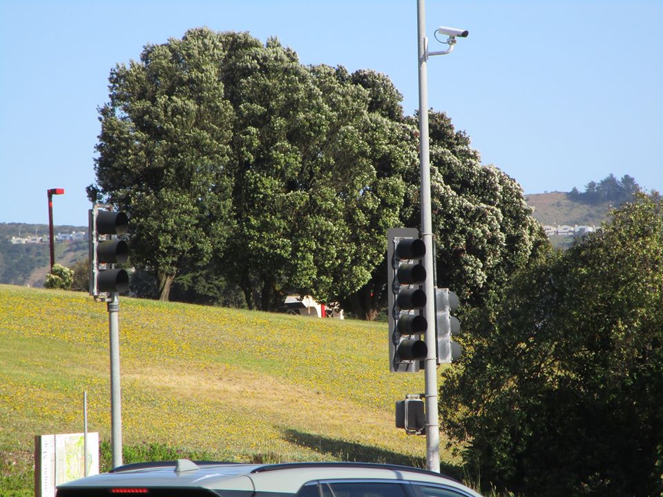 100105762_10222541490672317_5078728046458961920_o