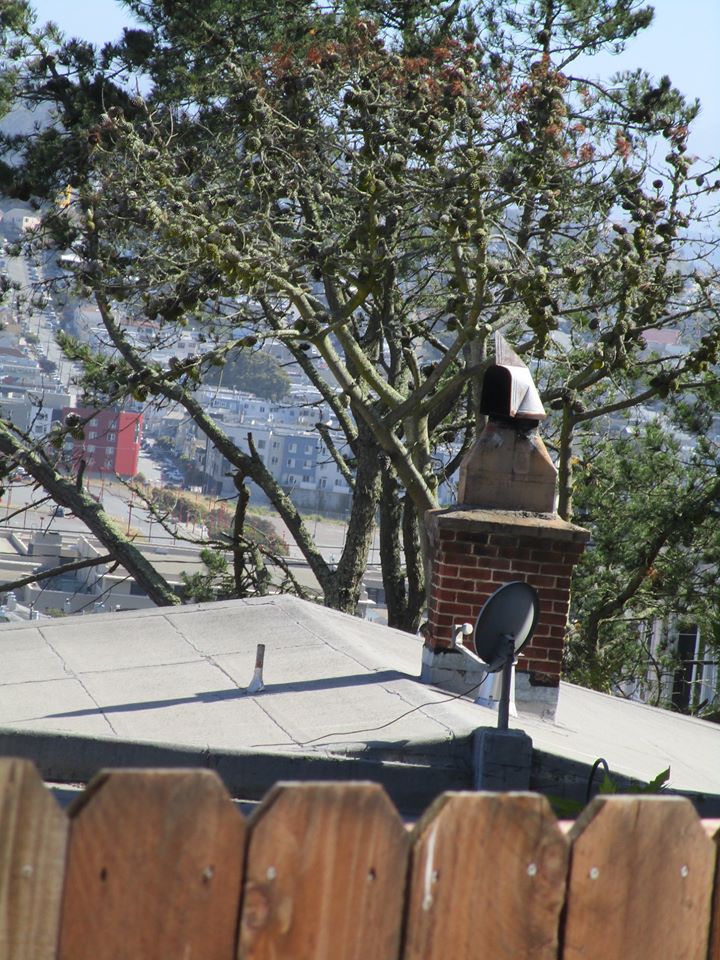 100523478_10222541492792370_9163515530076749824_o