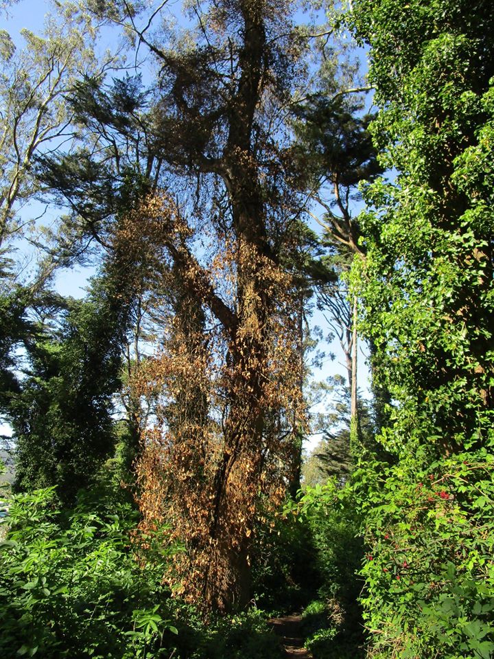 100747061_10222541477031976_1432077263402172416_o