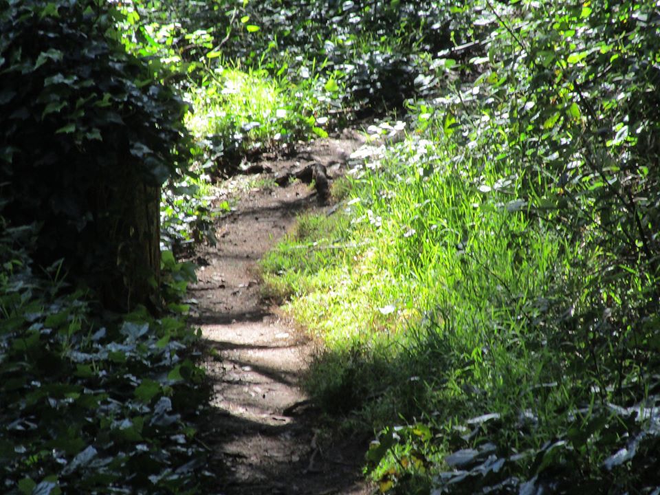 101007055_10222541466471712_7597486019193077760_o