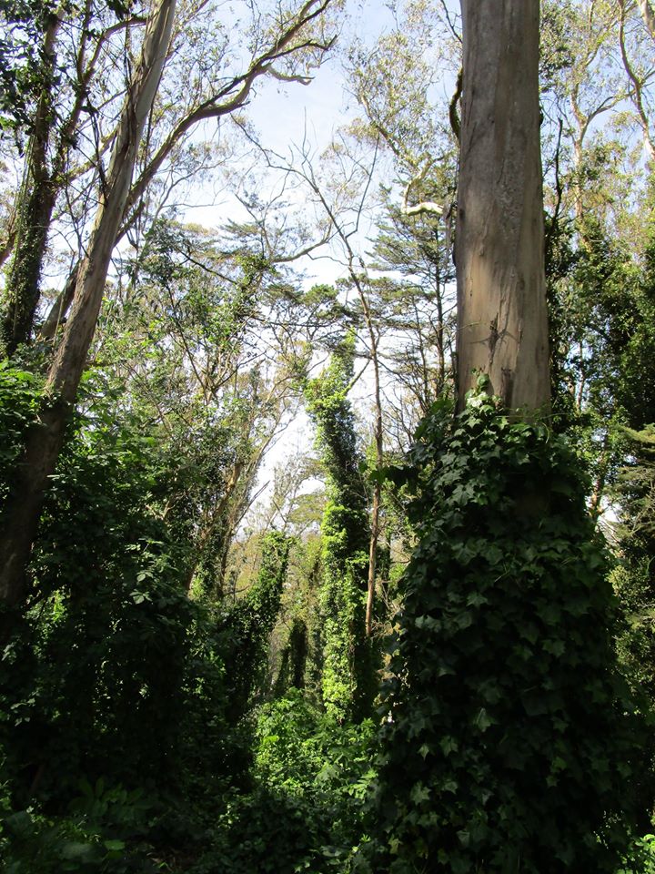 101389102_10222541500432561_7070146704774791168_o