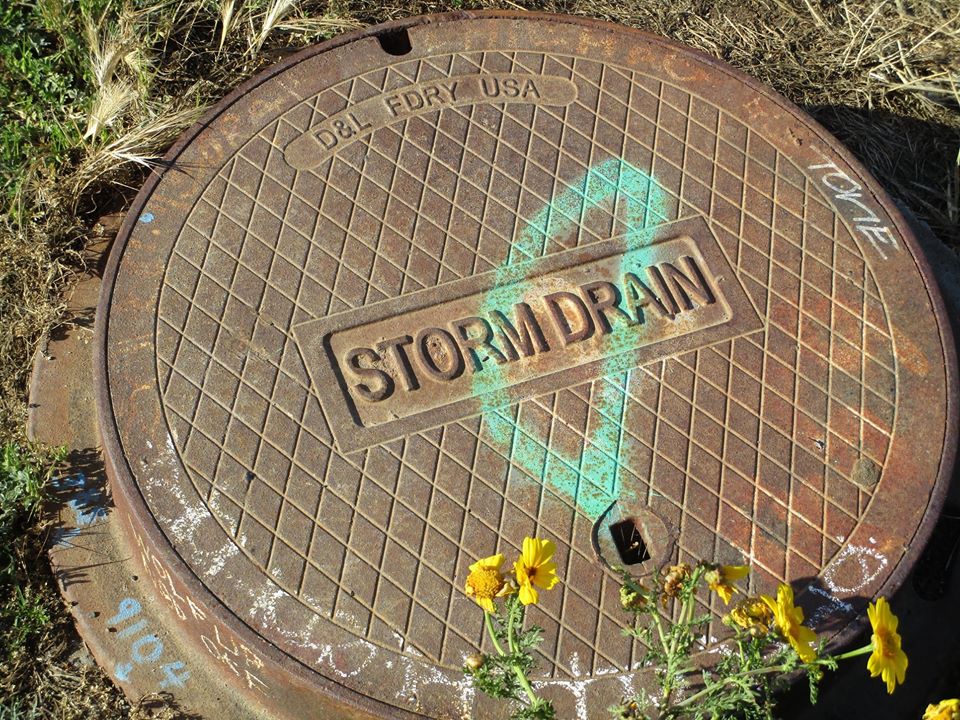 98447650_10222541491592340_6630907314310217728_o