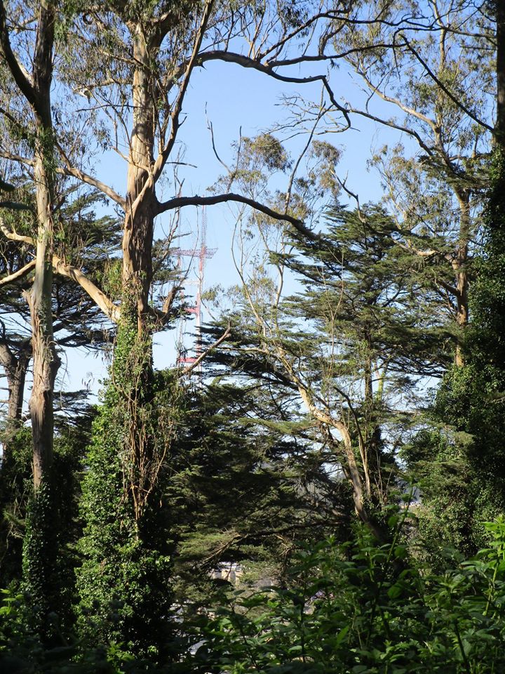 99127505_10222541470831821_4266463900158918656_o