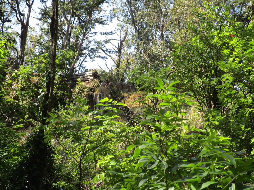 99279046_10222541469071777_5355398672752312320_o