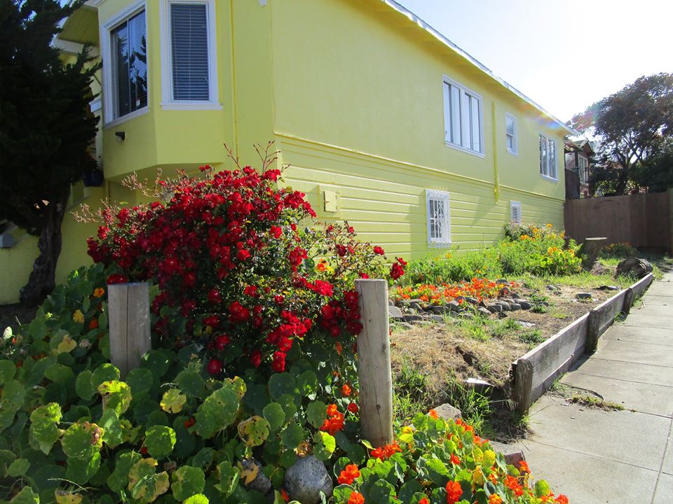 99440965_10222541487632241_5763159826997706752_o