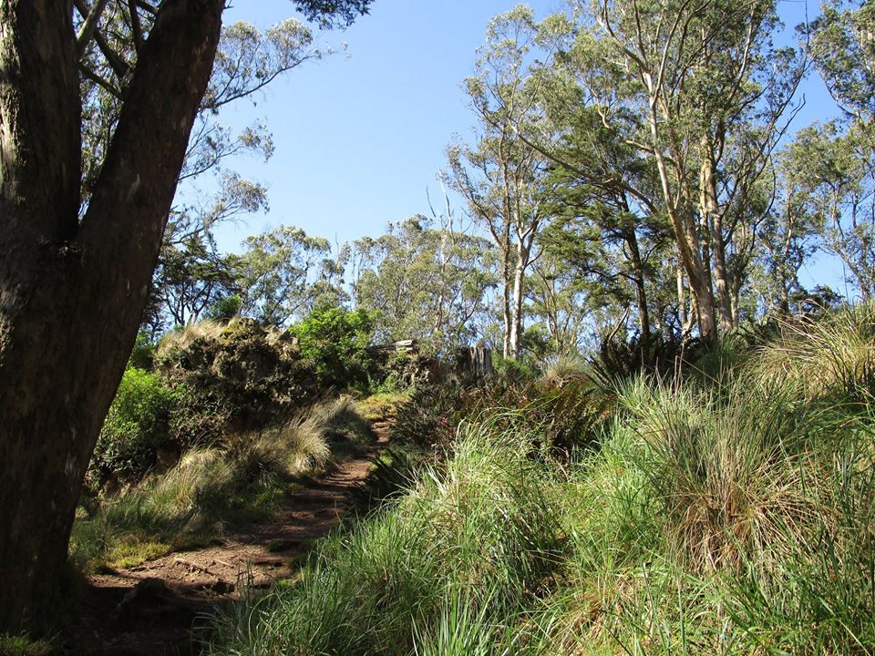 99557601_10222541473391885_9045730248166998016_o