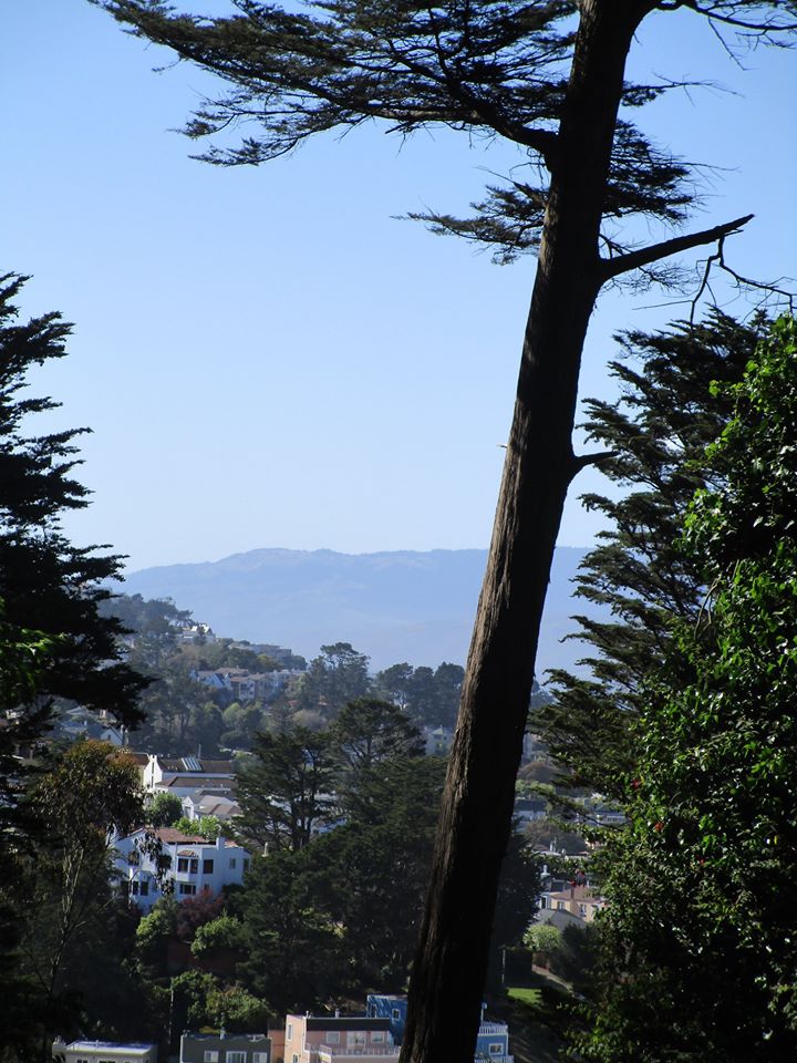 99557601_10222541478632016_7504125919942934528_o