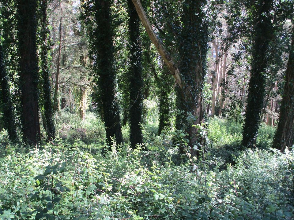 107373800_10222942077006725_8739698946006322404_o