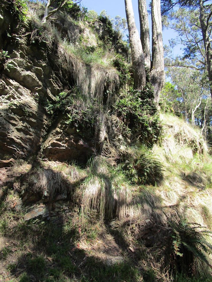 107376867_10222942073806645_4735063681562580136_o