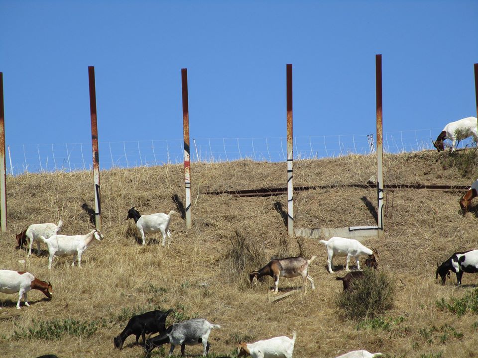 107533116_10222942062806370_7451174094858359765_o