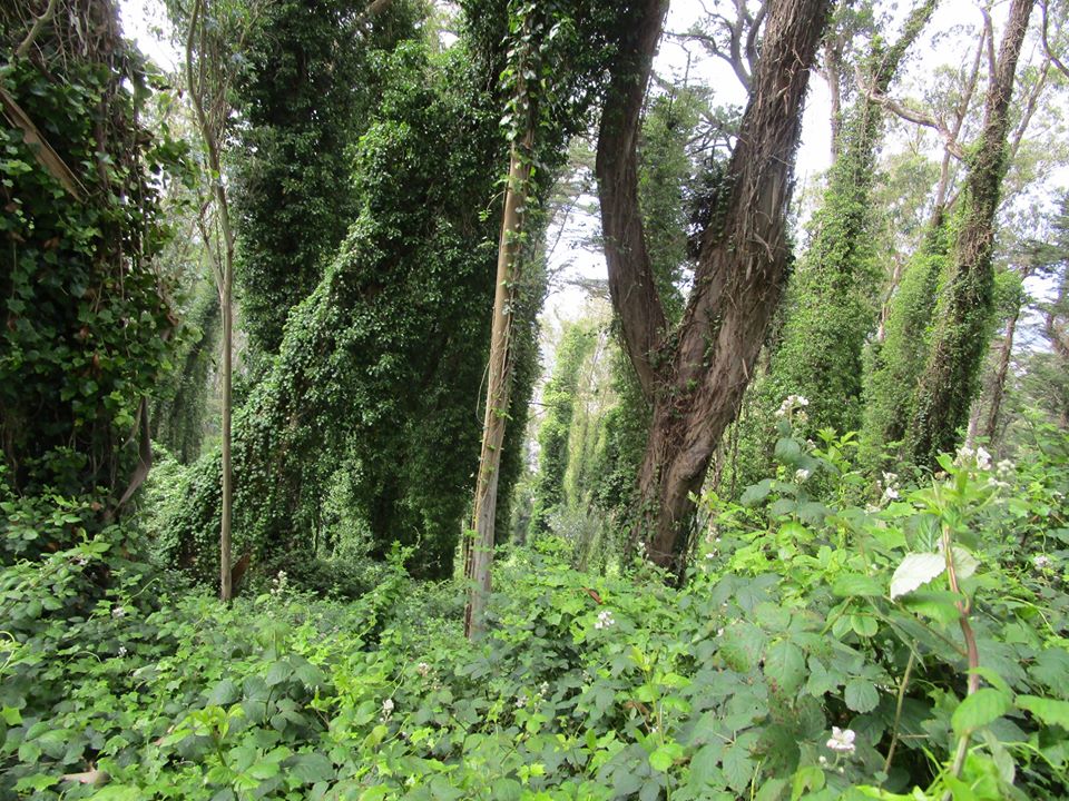 107571565_10222942066806470_2731741133115552878_o