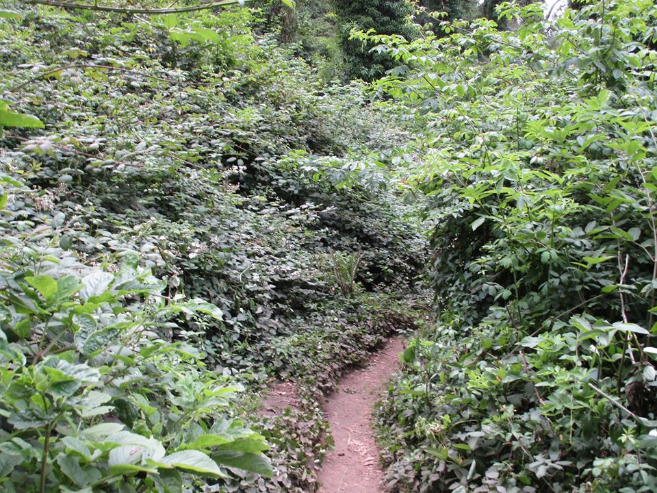 107973668_10223029834400605_3805273737618513160_o