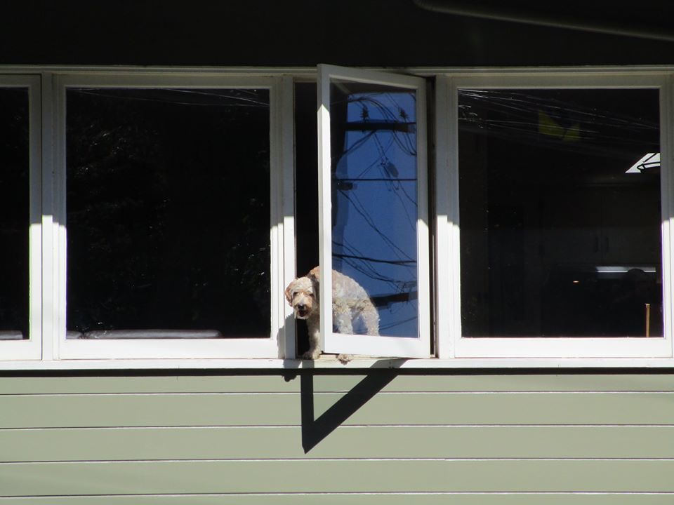 108252817_10222985770779042_6130538473257098898_o